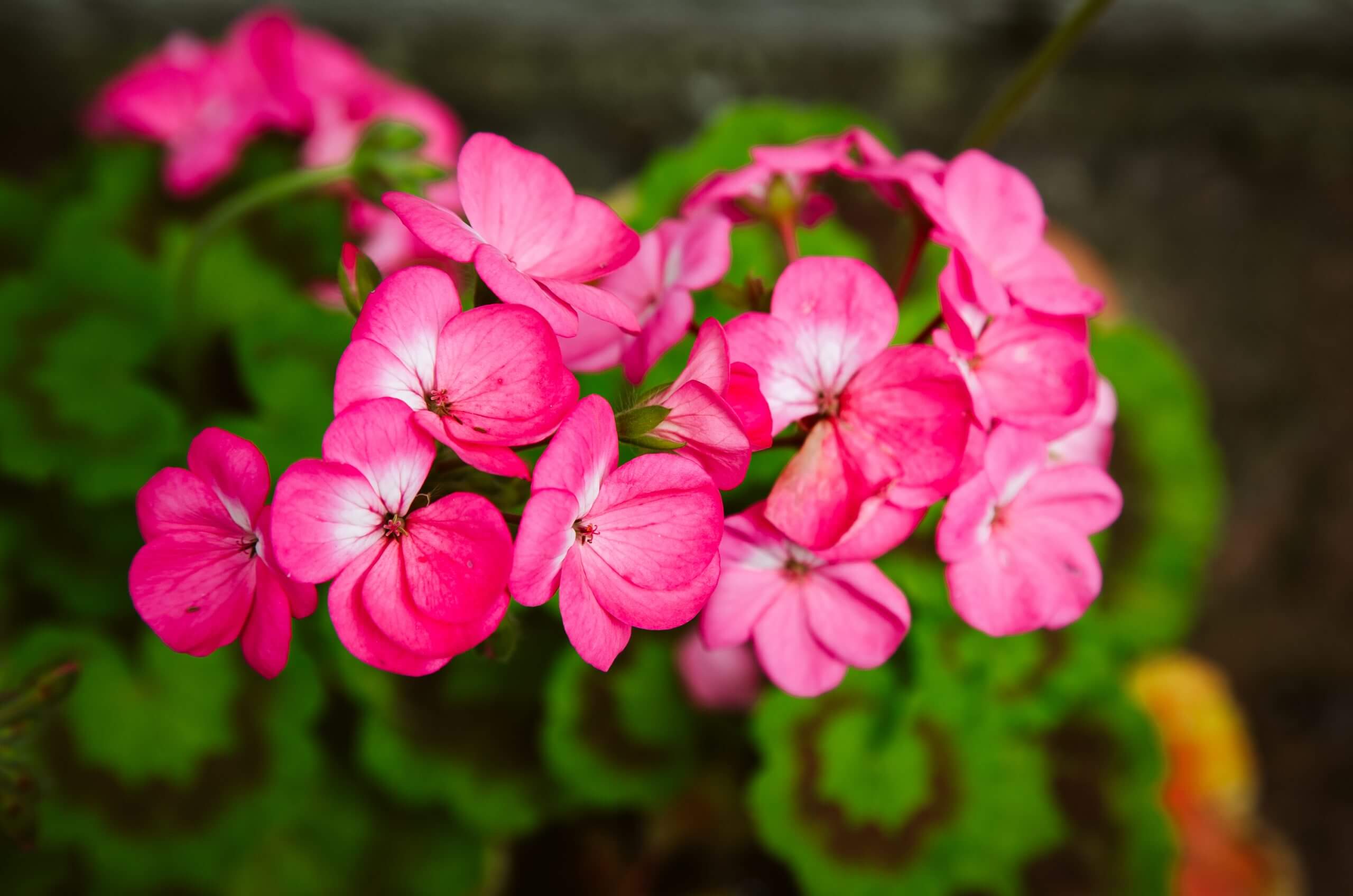 Ask the expert: Why it’s about time we got health & wellbeing at work right