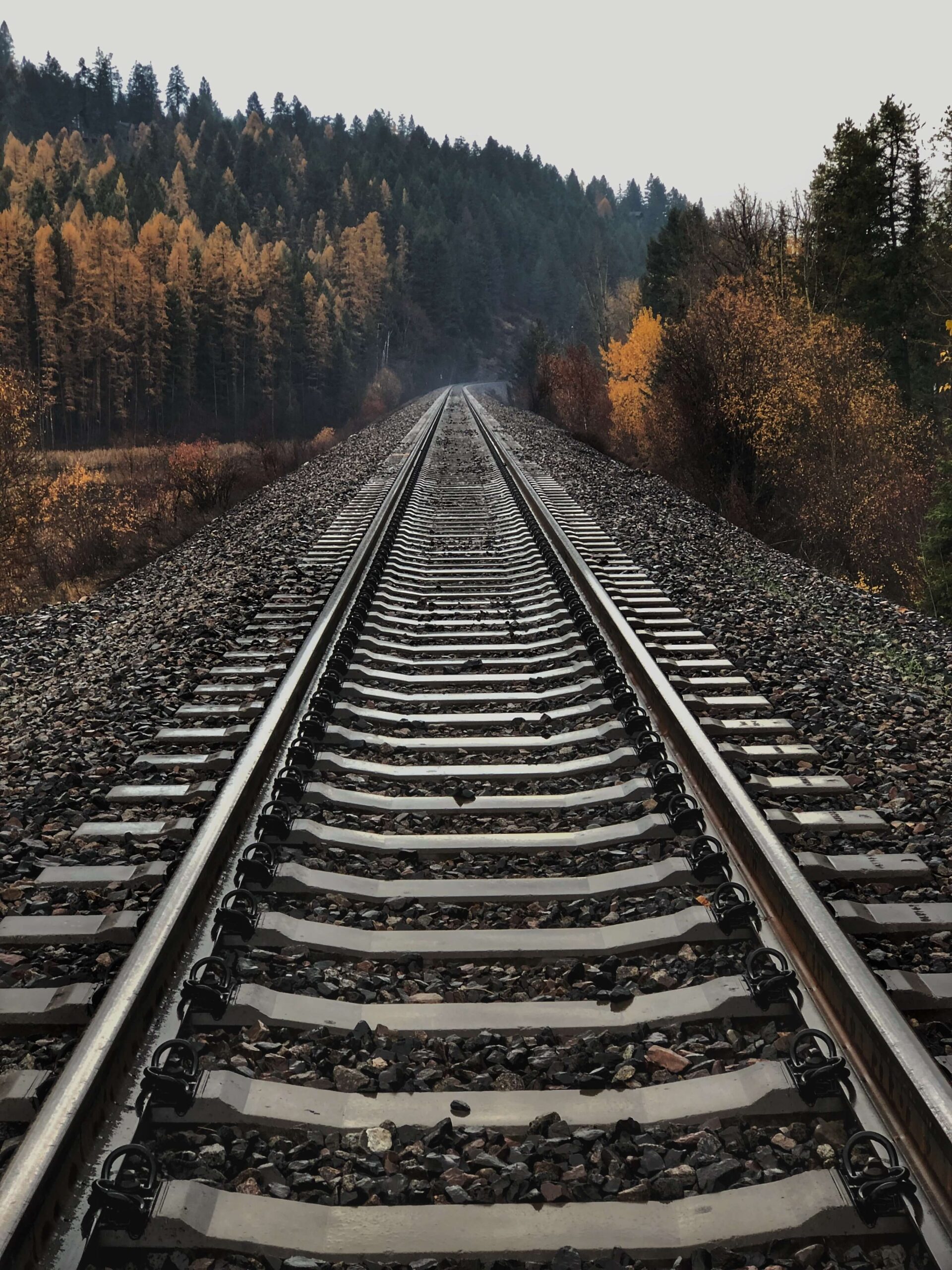 Critical Success Factors to Embedding Innovation in UK Rail