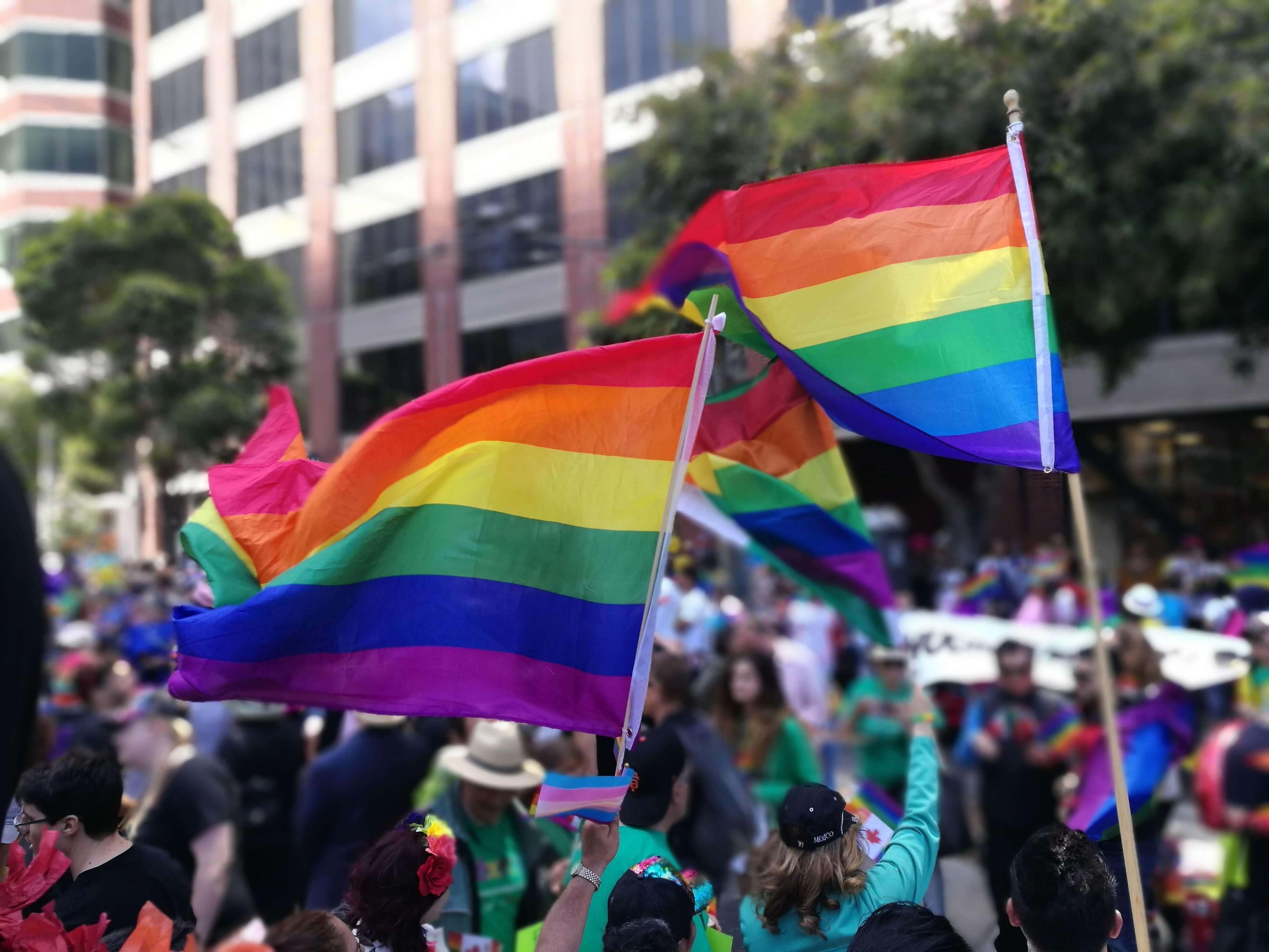 A crowd of people holding and waving rainbow-striped pride flags.